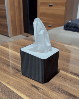 TISSUE BOX SET / TISSUE BOX ORGANIZER / HOMEDECOR / MODERN 3d model