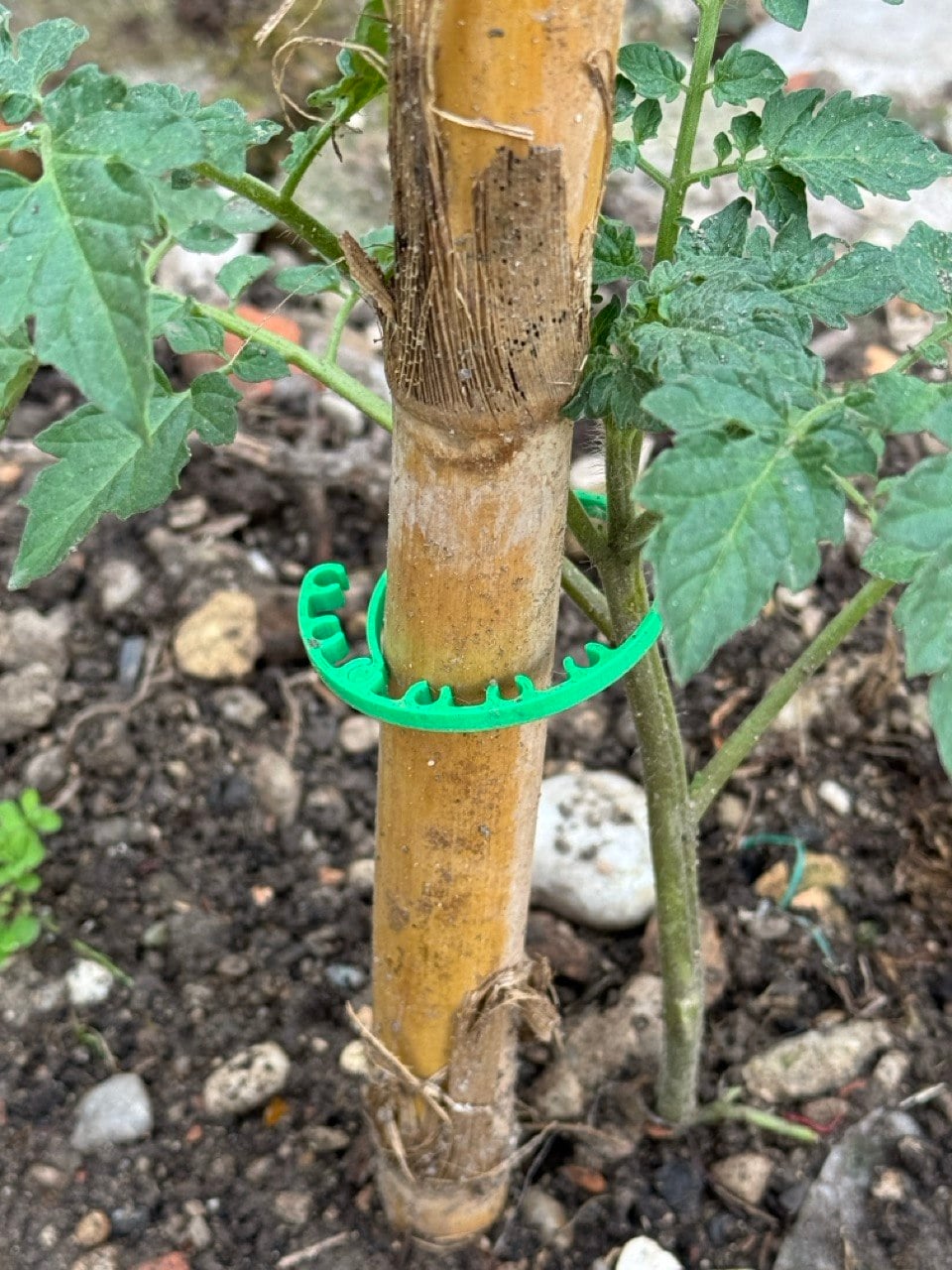 Adjustable Plant Clip | 30-170mm 3d model