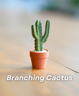 Clicky Cacti Pack 2 - Clicker Fidget Toy Cactus - Pocket Plants Collection 3d model
