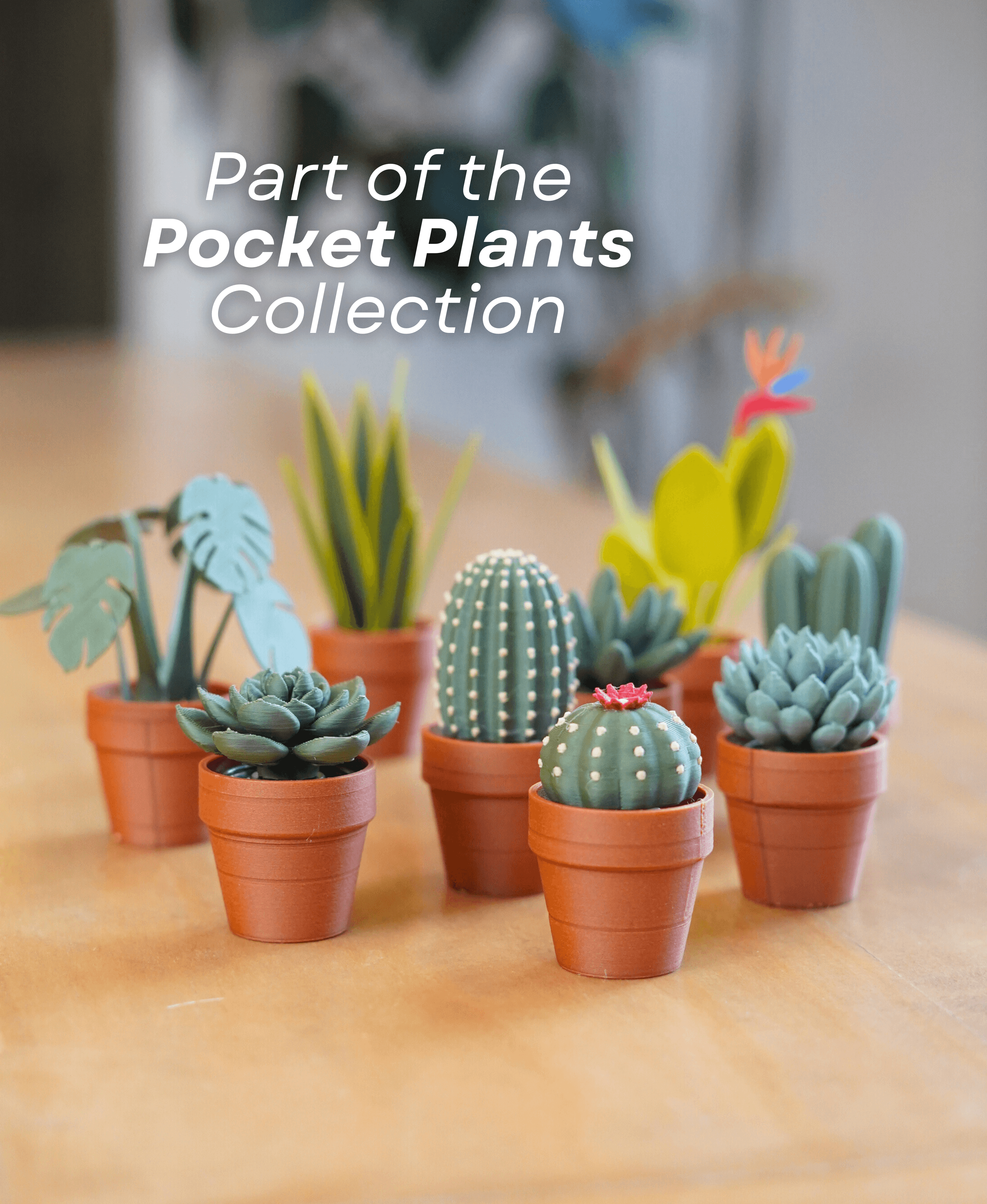 Clicky Cacti Pack 2 - Clicker Fidget Cactus - Pocket Plants Collection 3d model