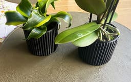 0LBJ_Ribplanter_8cm.stl 3d model