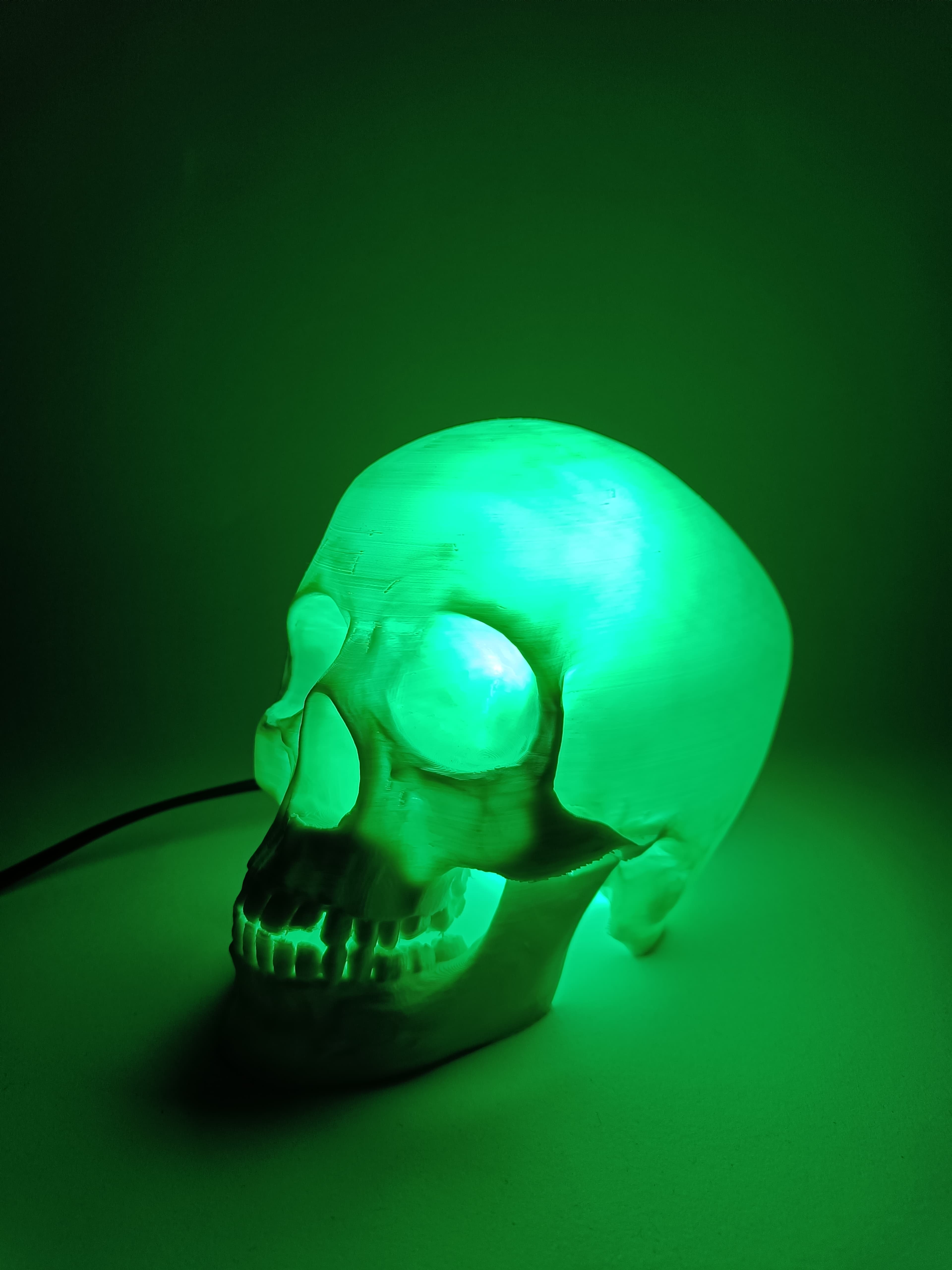 Skull Lamp 3d model