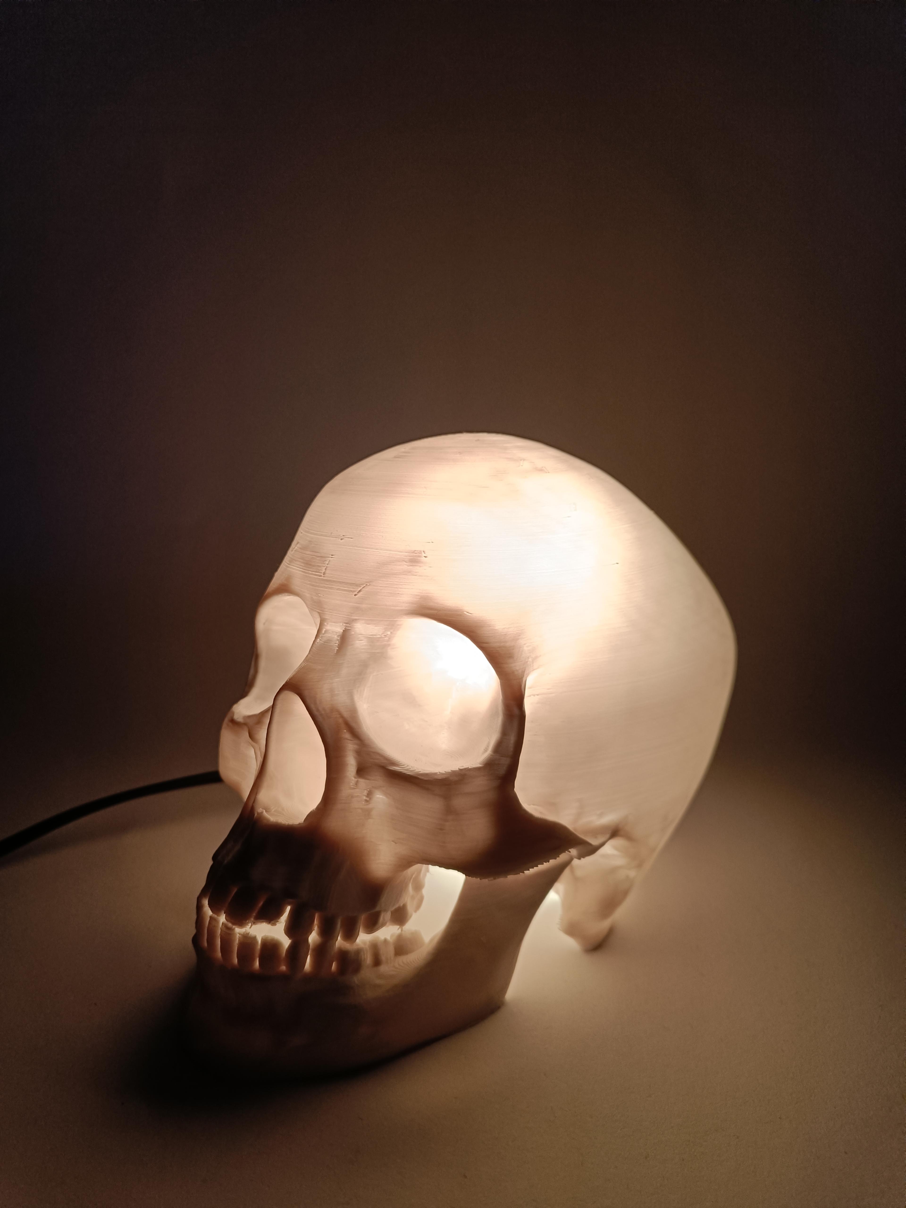 Skull Lamp 3d model