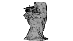 Abstract Sculpture - House Inside the Head 3d model