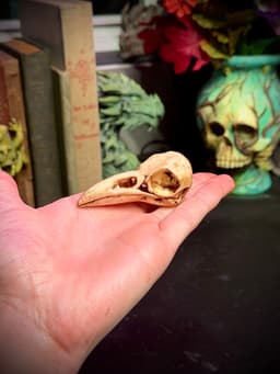 Raven skull drawer pull 3d model