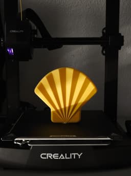 S(t)and Shell 3d model