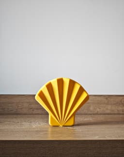 S(t)and Shell 3d model