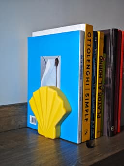 S(t)and Shell 3d model