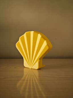 S(t)and Shell 3d model