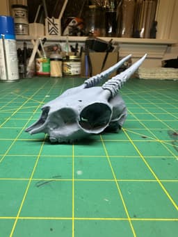 Dik-Dik Skull 3d model