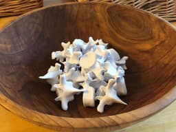 Big Bowl O’ Back Bones (Numbered) 3d model