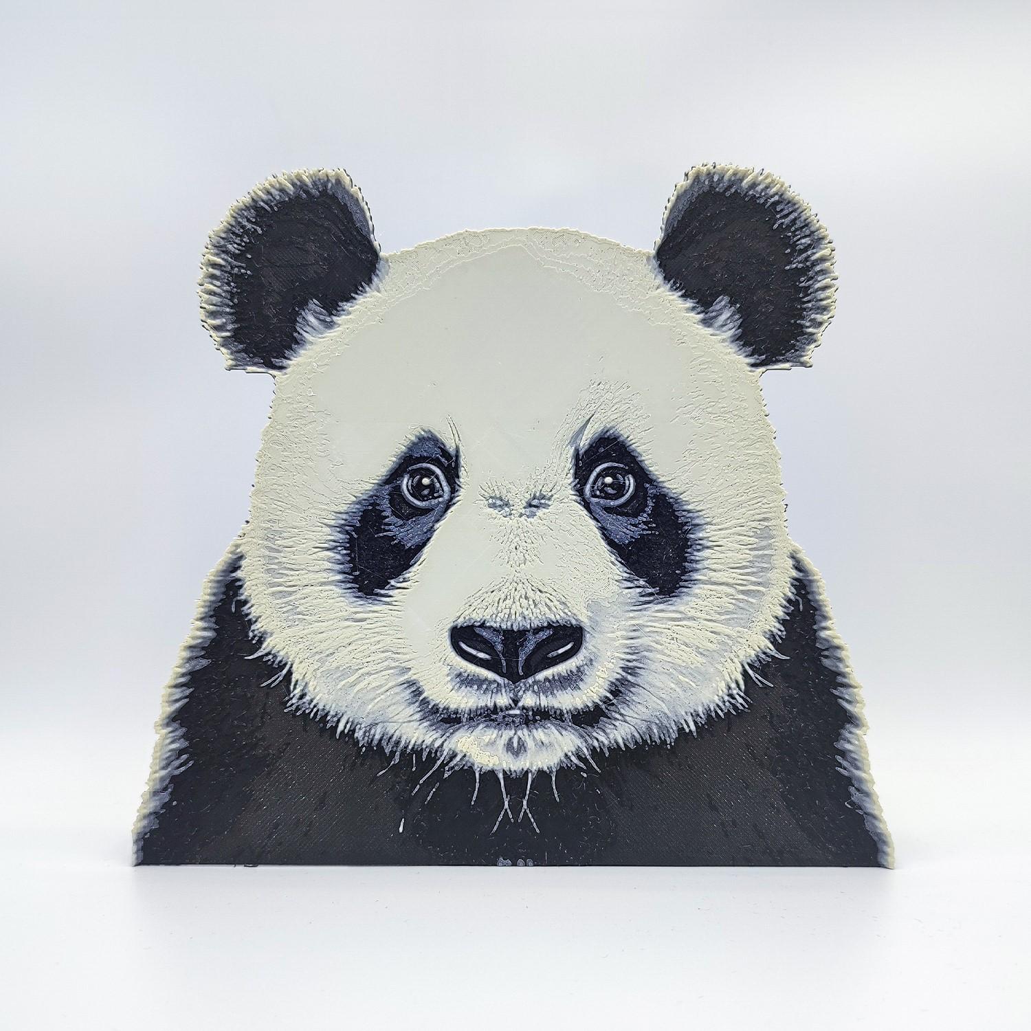 Panda Hueforge 3d model