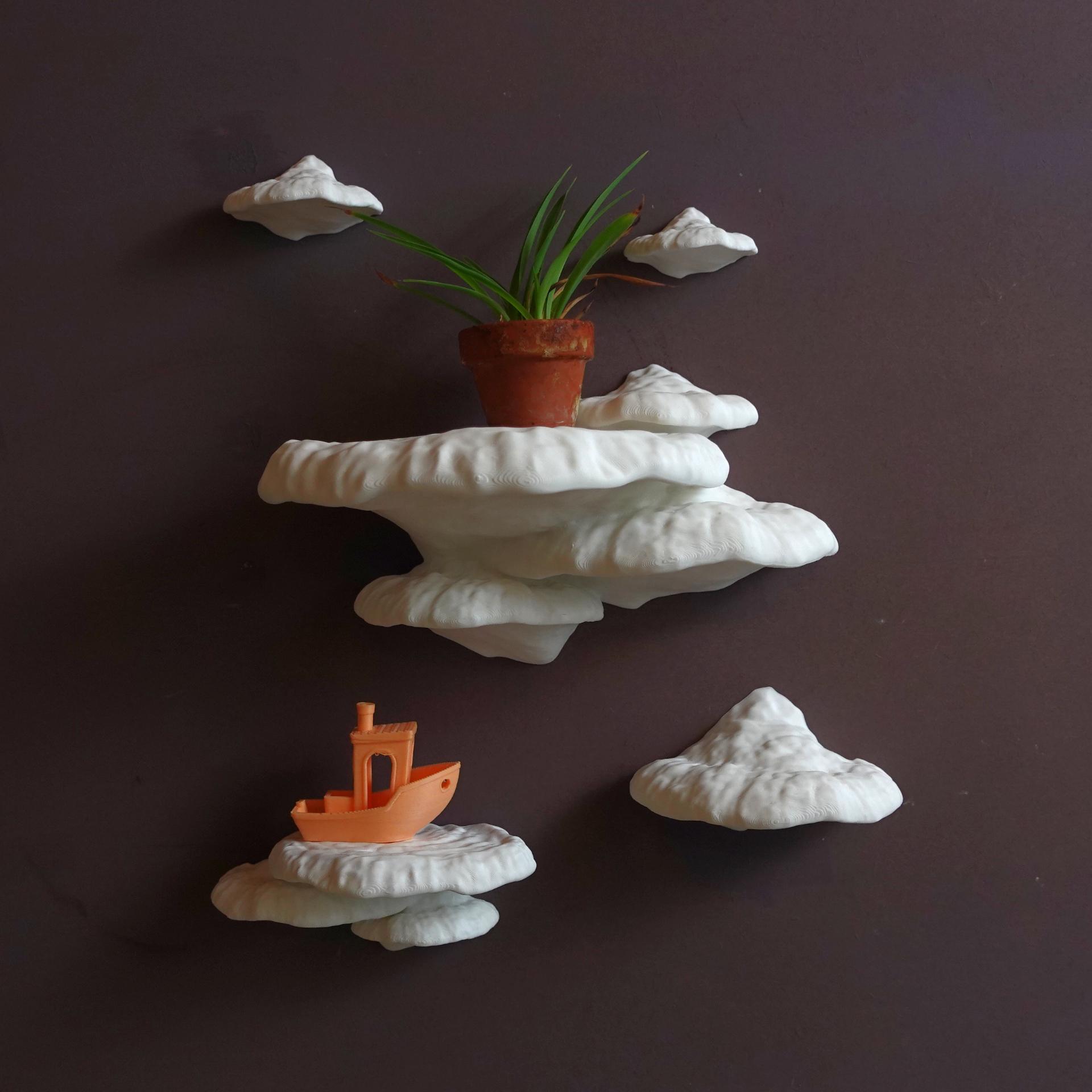 Wall shelf “Pinicula Fungus” 3d model
