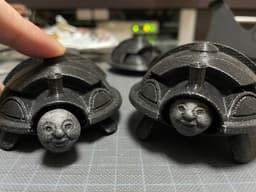 Thomas the Squishy Turtle 3d model