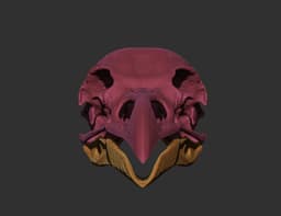 Rook Skull (Corvus Frugilegus) 3d model