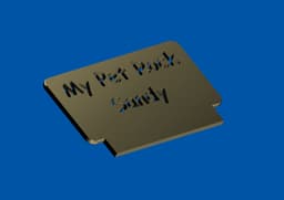 Sandy the Pet Rock 3d model