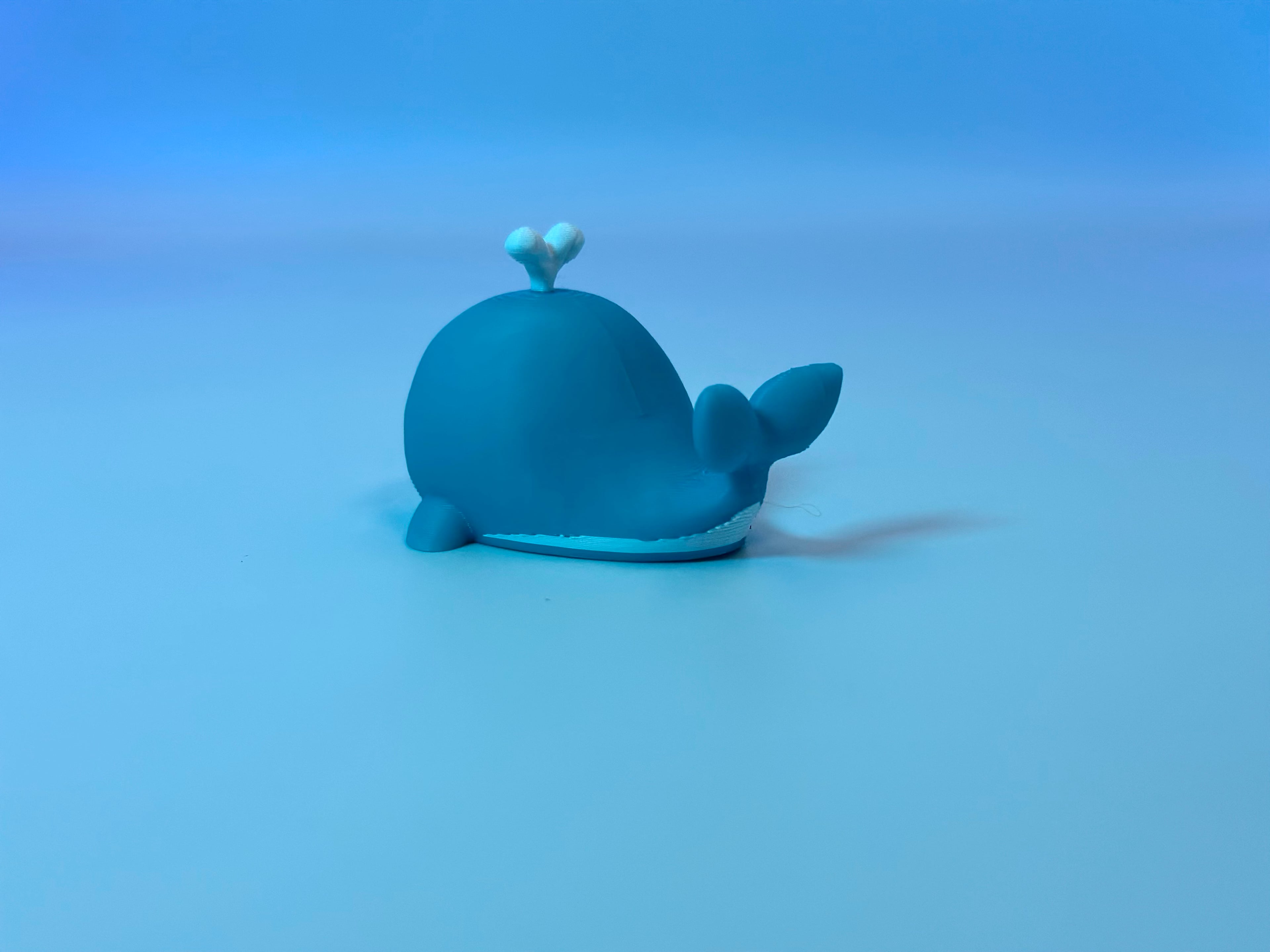 Whale small buddy 3d model