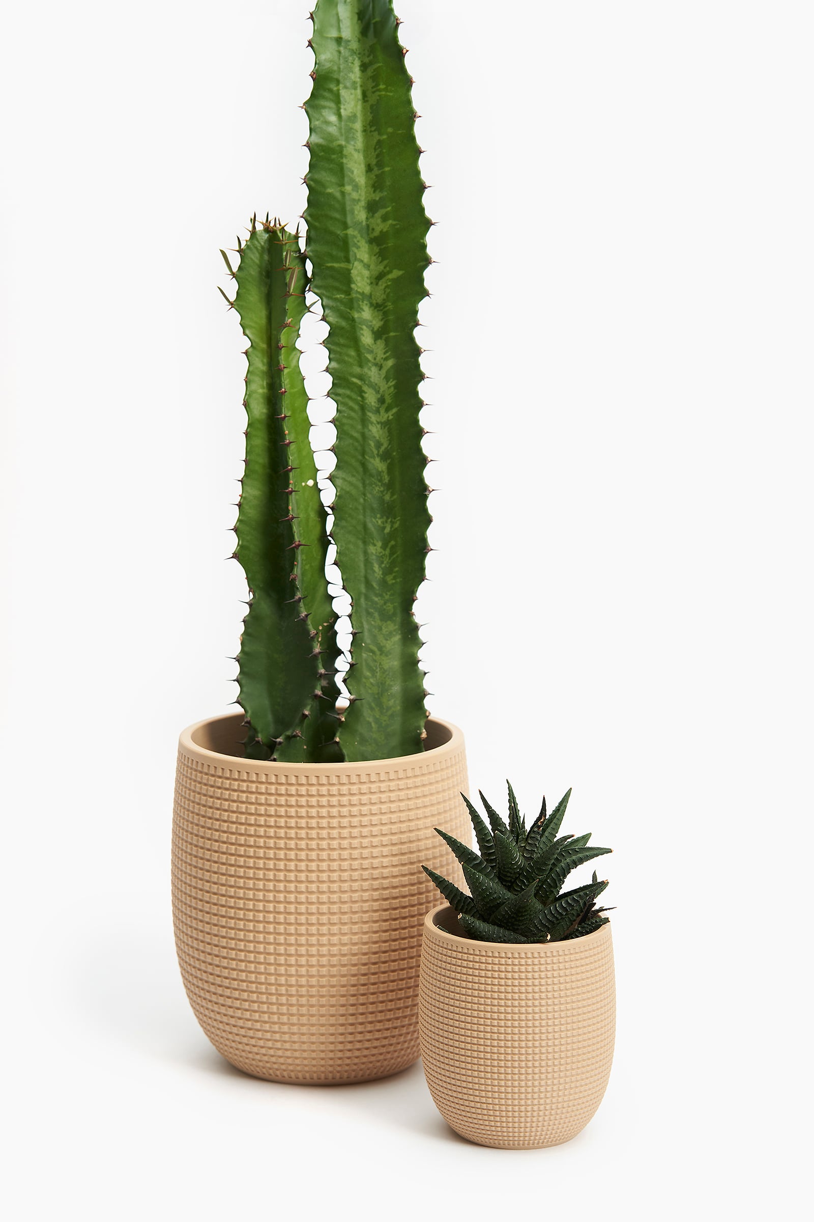 Grid Planter 3d model