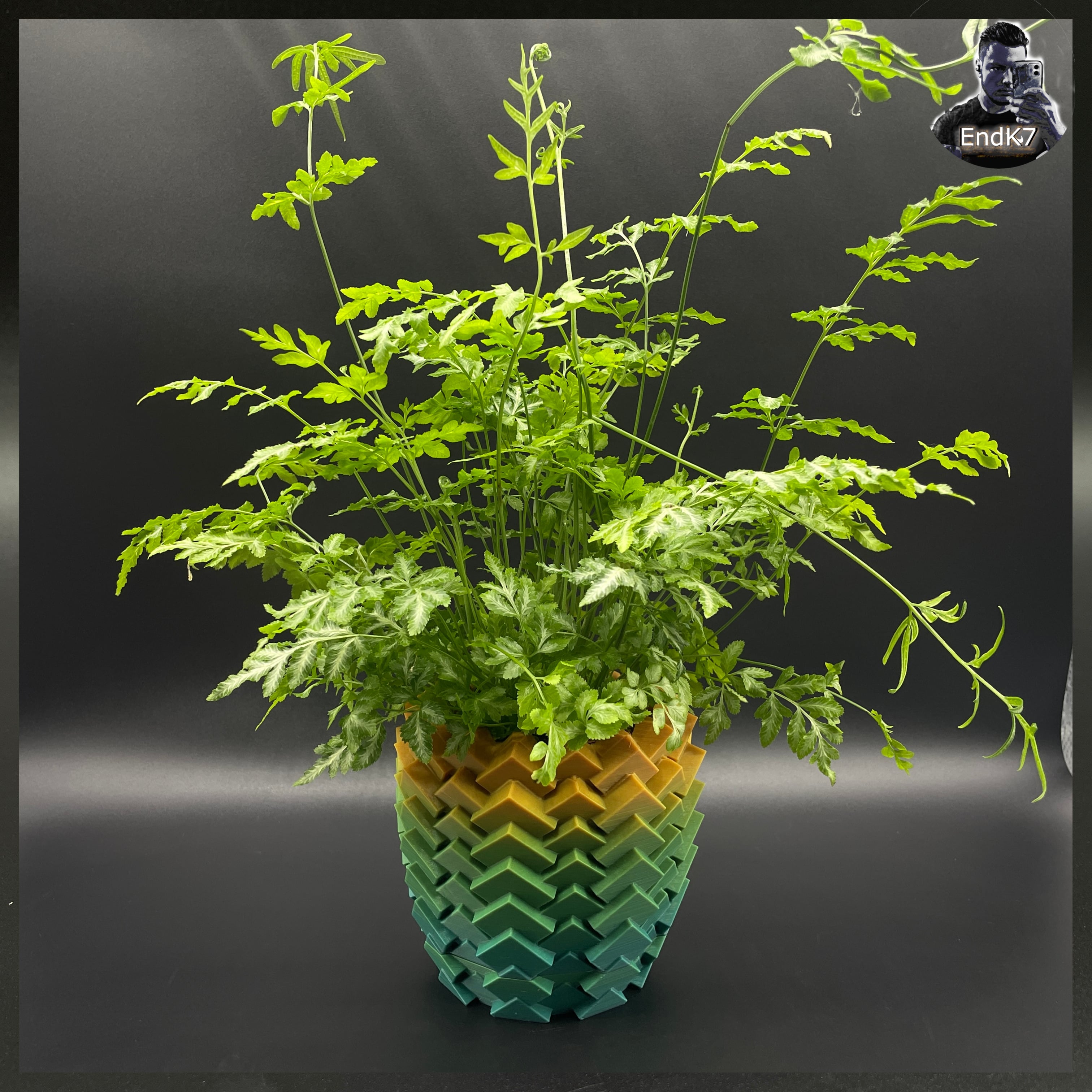 Geometric Planter No. 1🪴 3d model