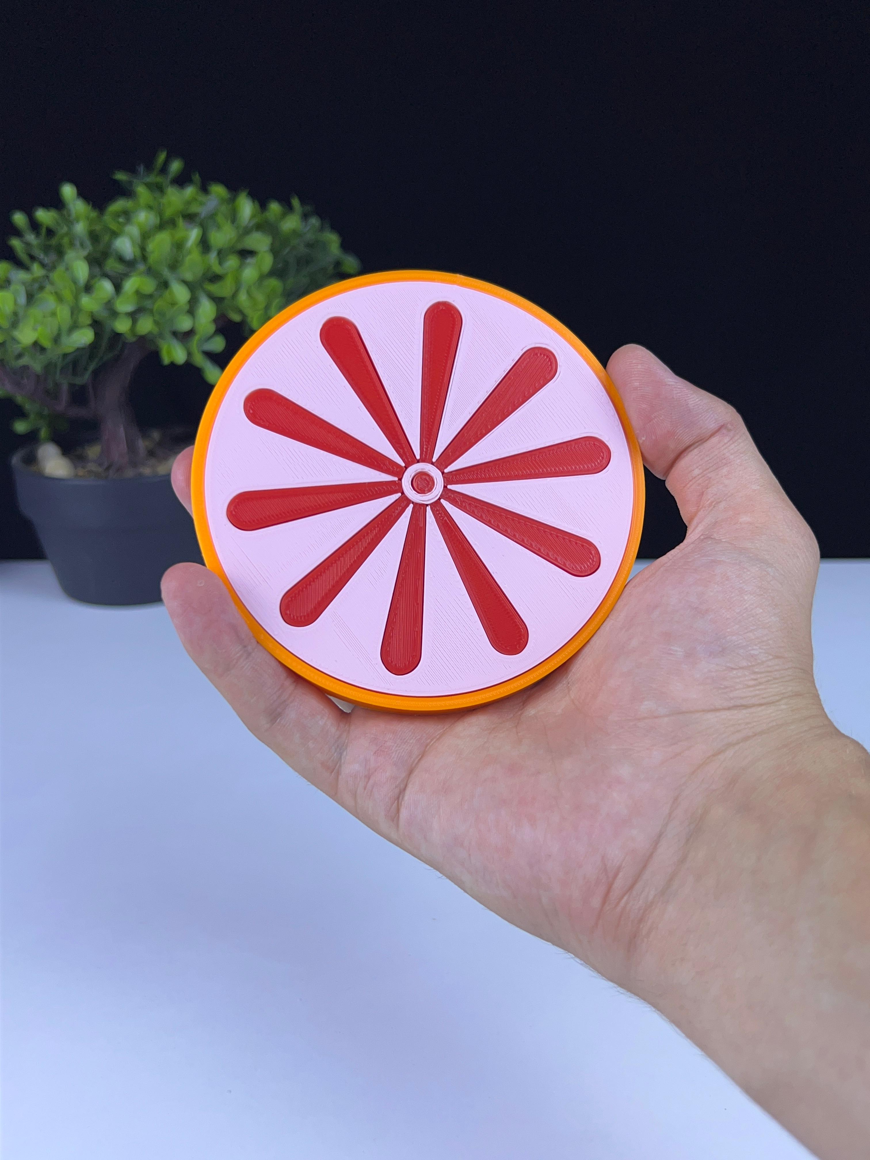 Grapefruit coaster 3d model