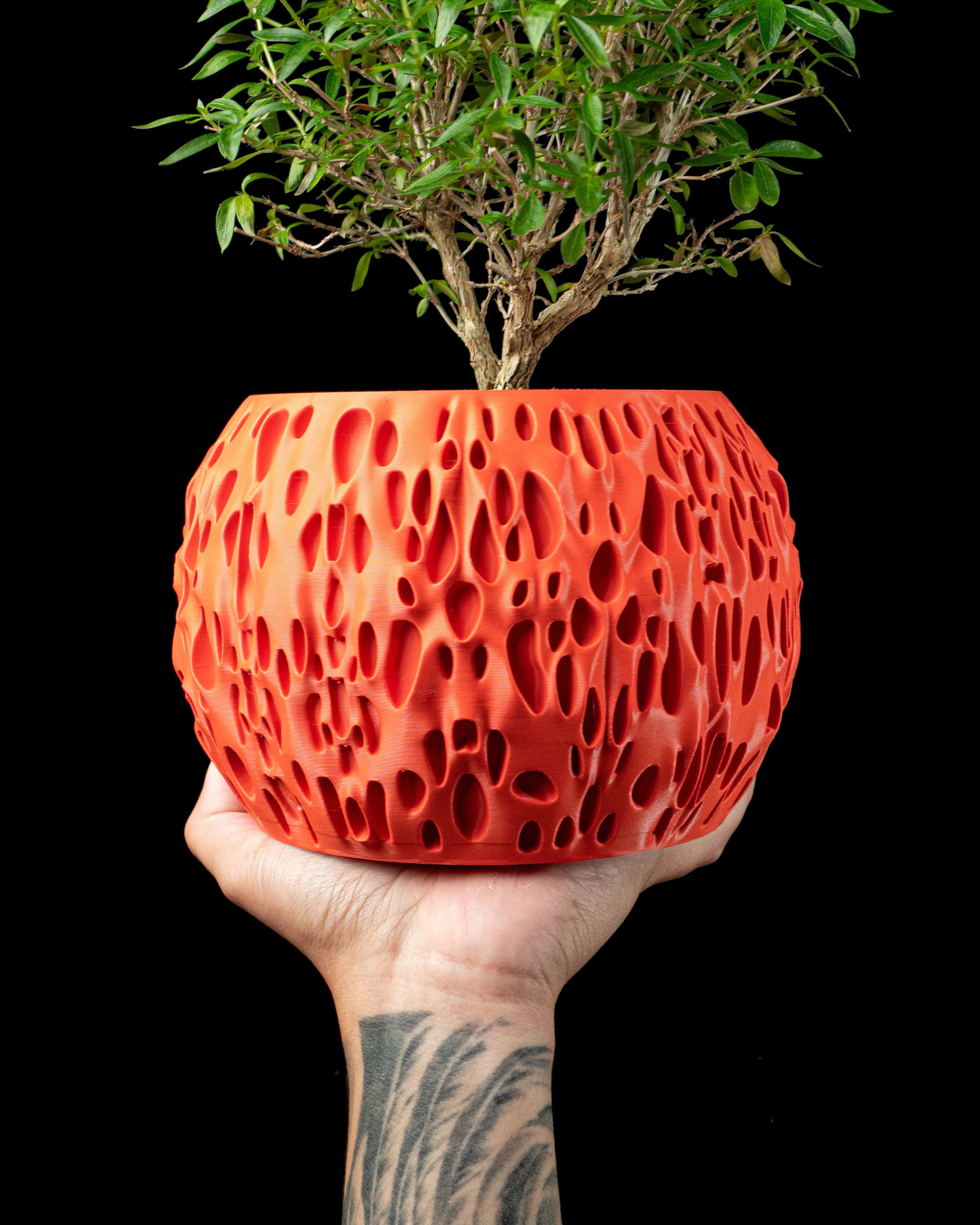 Spotted Planter Pot by MODERN MACHINE 3d model