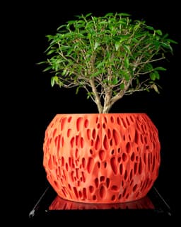 Spotted Planter Pot by MODERN MACHINE 3d model