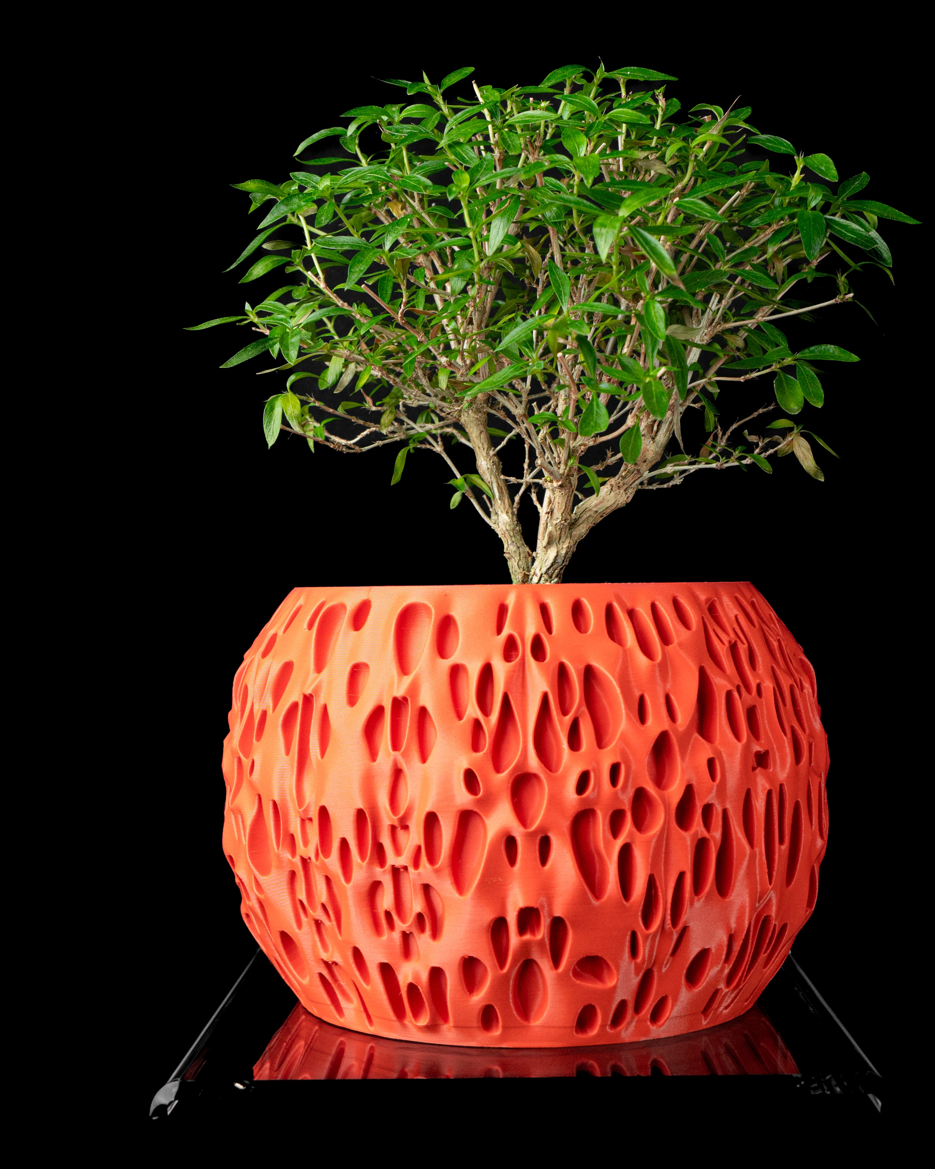 Spotted Planter Pot by MODERN MACHINE 3d model