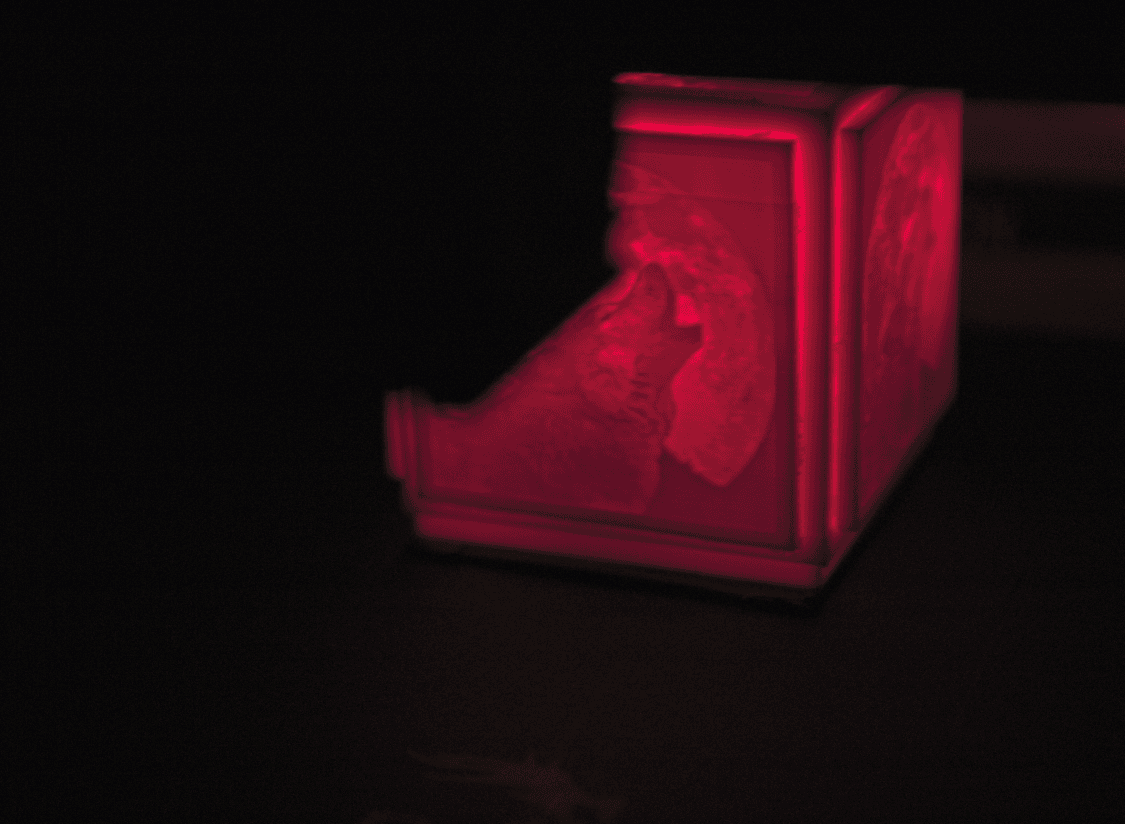 Wolf Lithophane external 3d model