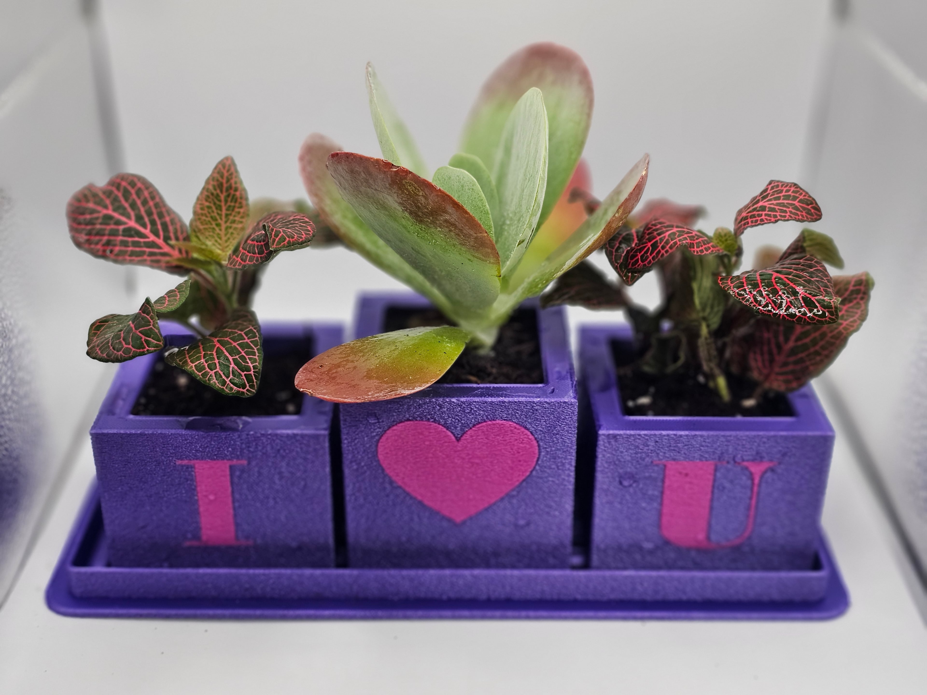 Set of 3 small planters 3d model