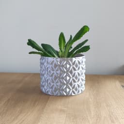 Planter 3d model