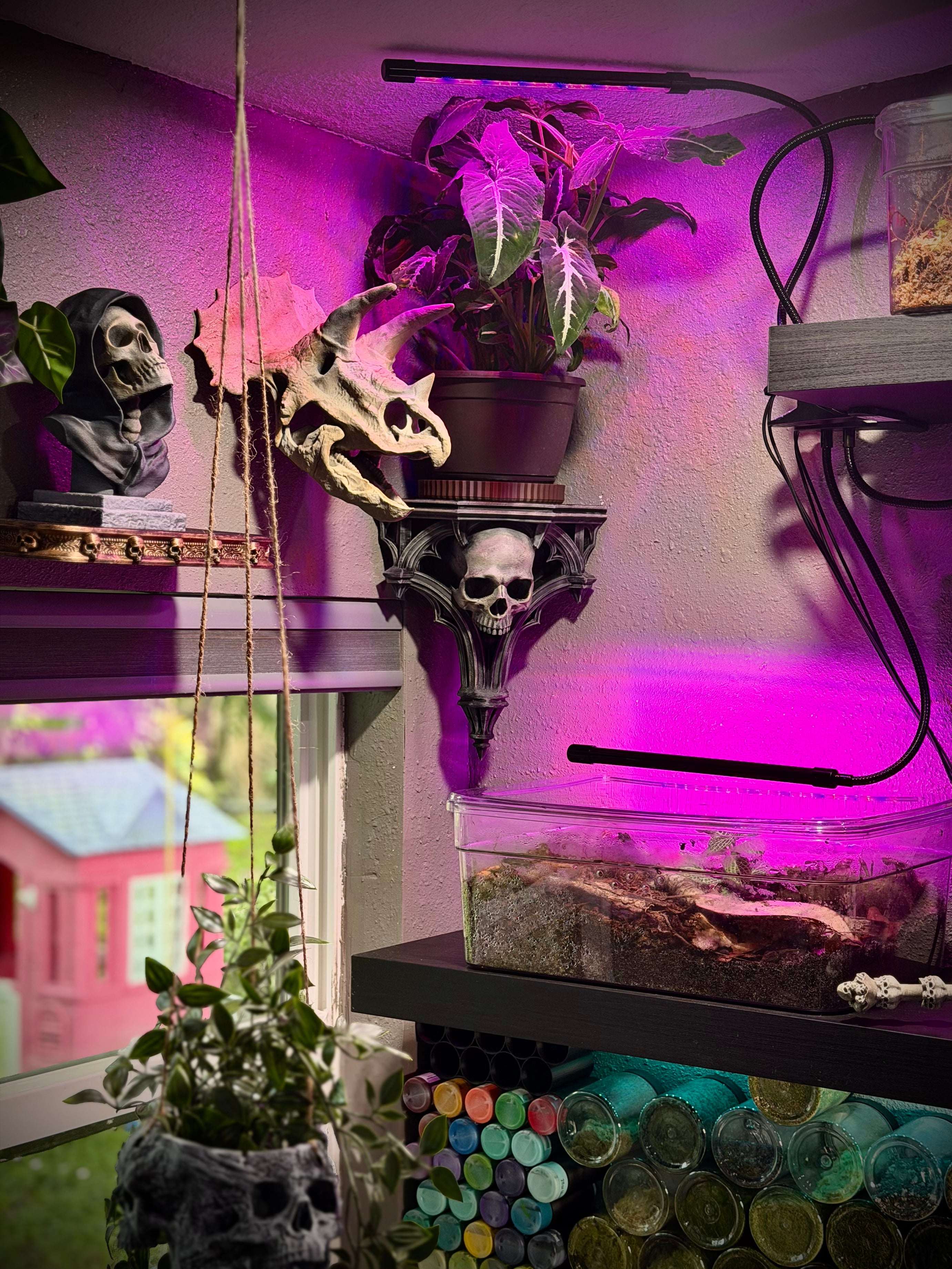 Gothic skull corner shelf. 3d model