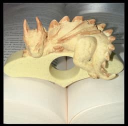 Sleepy Dragon Shadow Page Holder 3d model