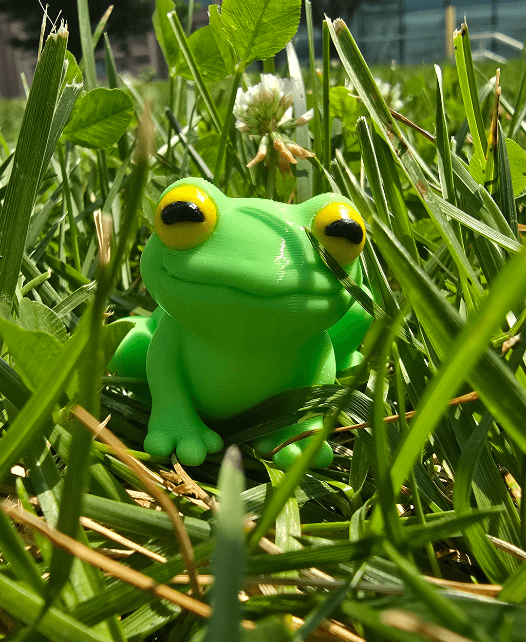 Free 3DL Frog 3d model