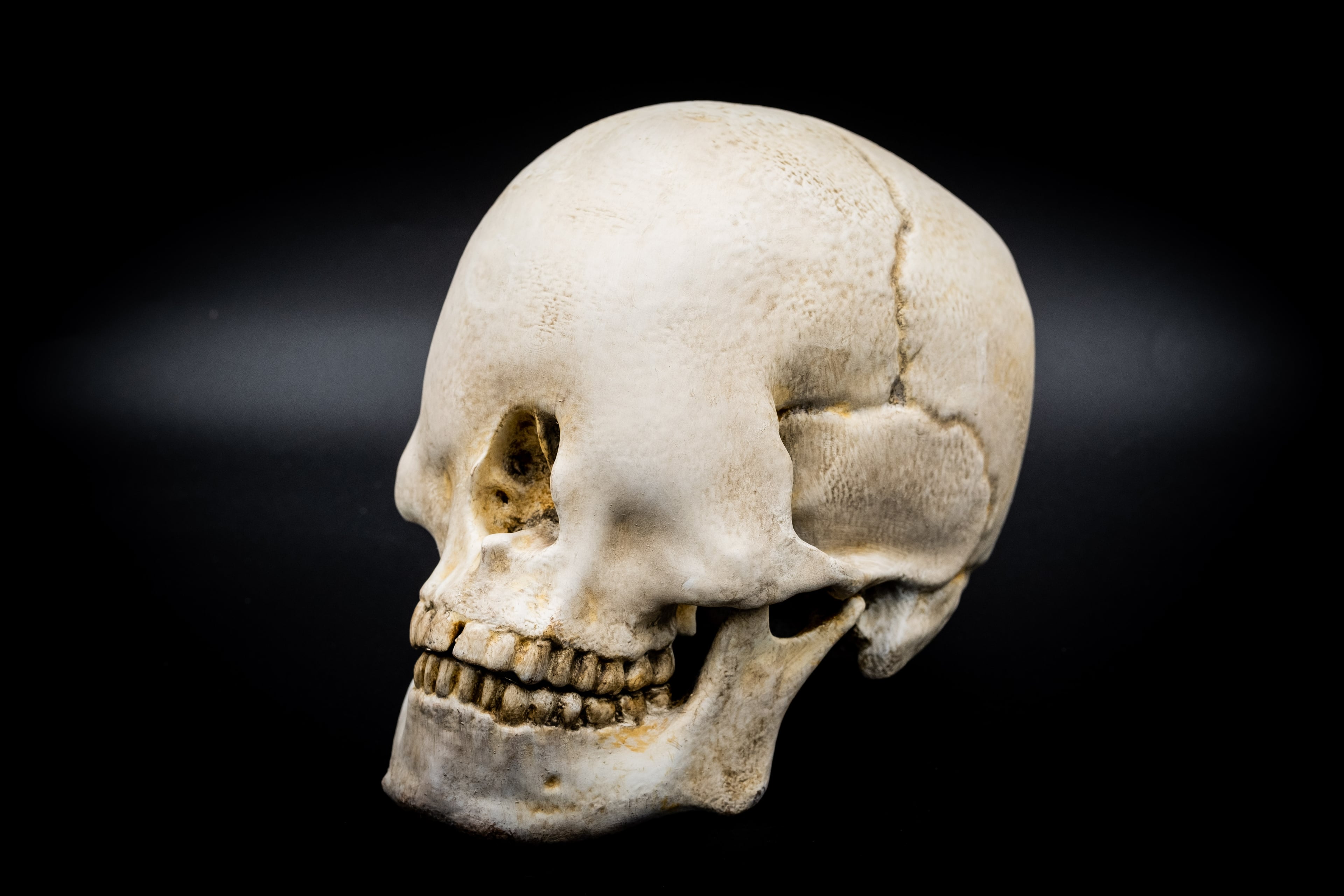 Blind Skull 3d model