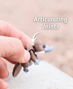 Plodding Platypus - Articulated Fidget Platypus - Ludo Flexy 3d model