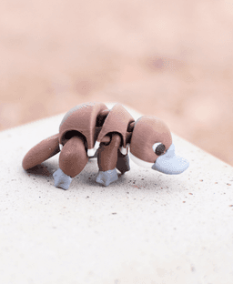 Plodding Platypus - Articulated Fidget Platypus - Ludo Flexy 3d model