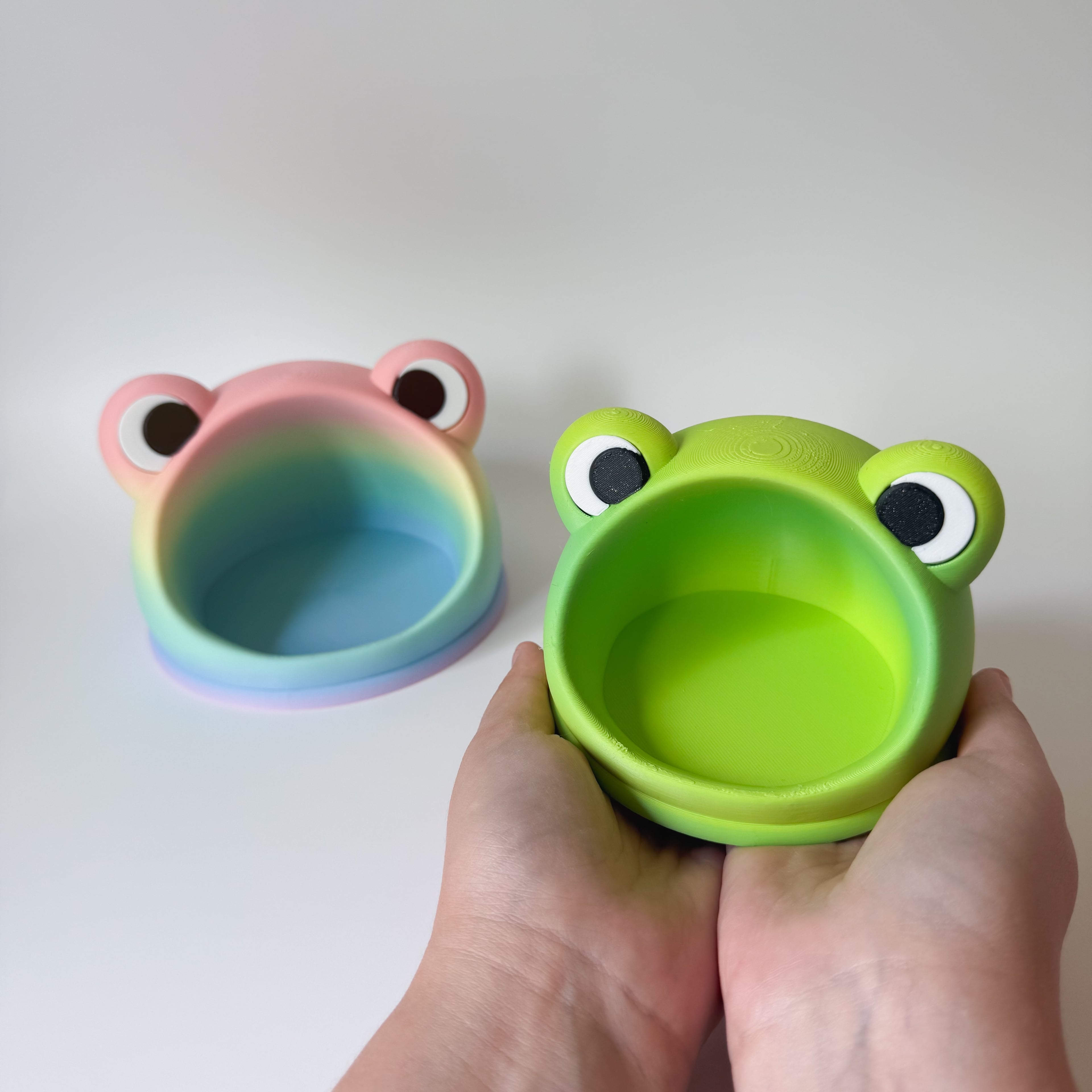 -Free- Froggy Catch All Dish 3d model