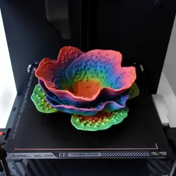 Bowl “Reniformis Coral” 3d model