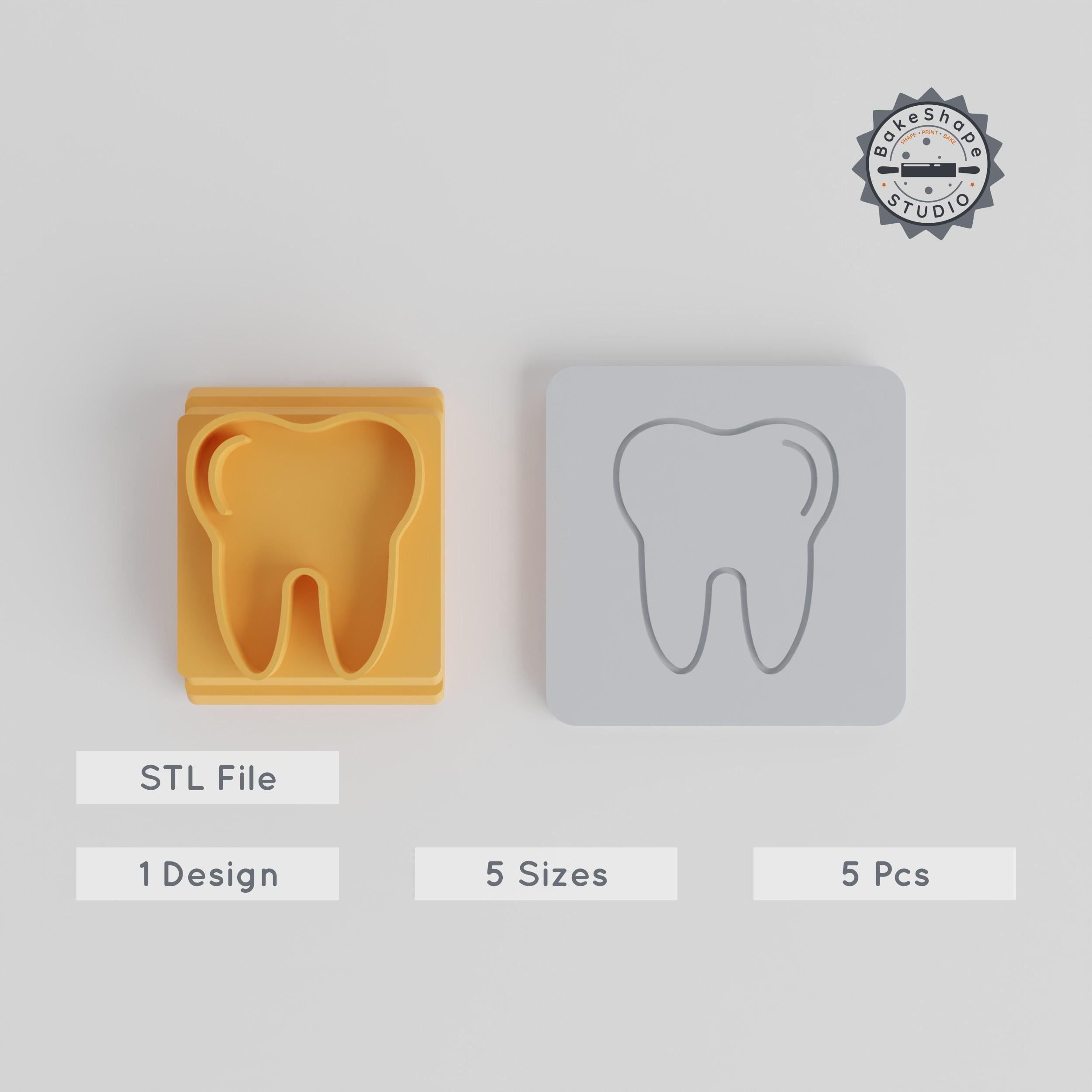 Tooth Stamp Tile Set, 5 Sizes 20-40mm, Ideal for Clay, Cookies, Fondant & More PRODUCT_2402 3d model