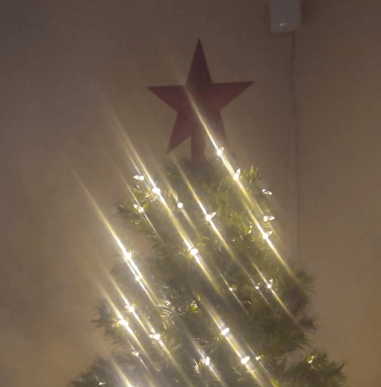 Christmas Tree Star 3d model