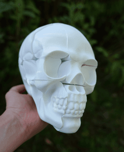 Twisty Skull Puzzle 3d model