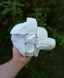 Twisty Skull Puzzle 3d model