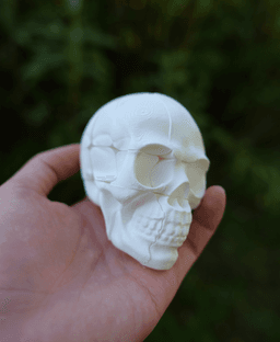 Twisty Skull Puzzle 3d model