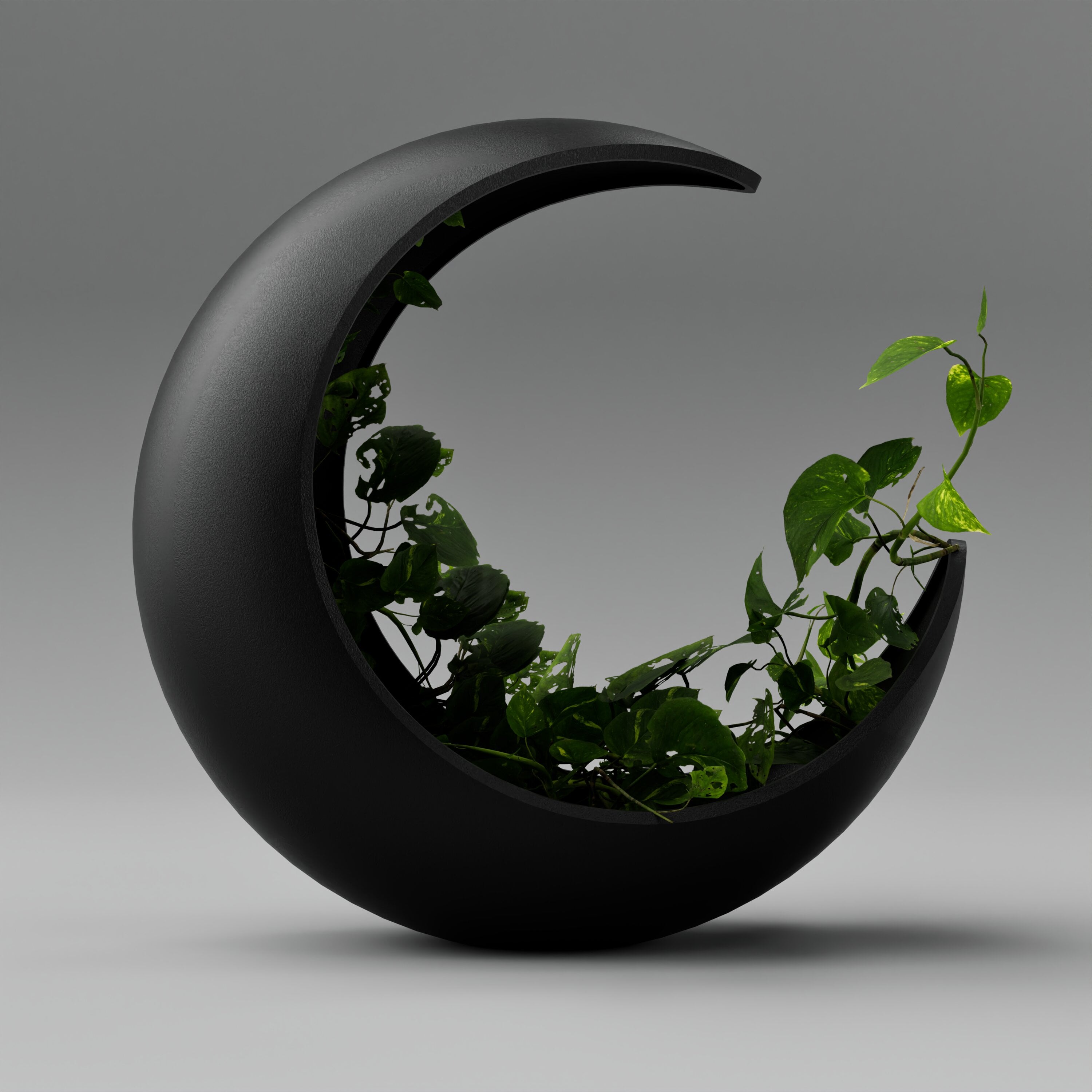 Moon Vase 3d model
