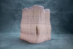Trunk Pot (Prę Supported) 3d model