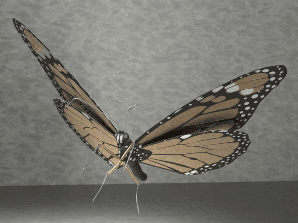 Monarch Butterfly 3d model