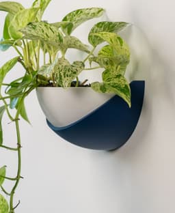 Half Dome Wall Planter 3d model