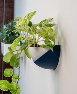 Half Dome Wall Planter 3d model