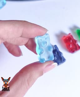 GUMMY BEAR 3d model