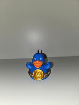 Professional Wrestler Duck.3mf 3d model